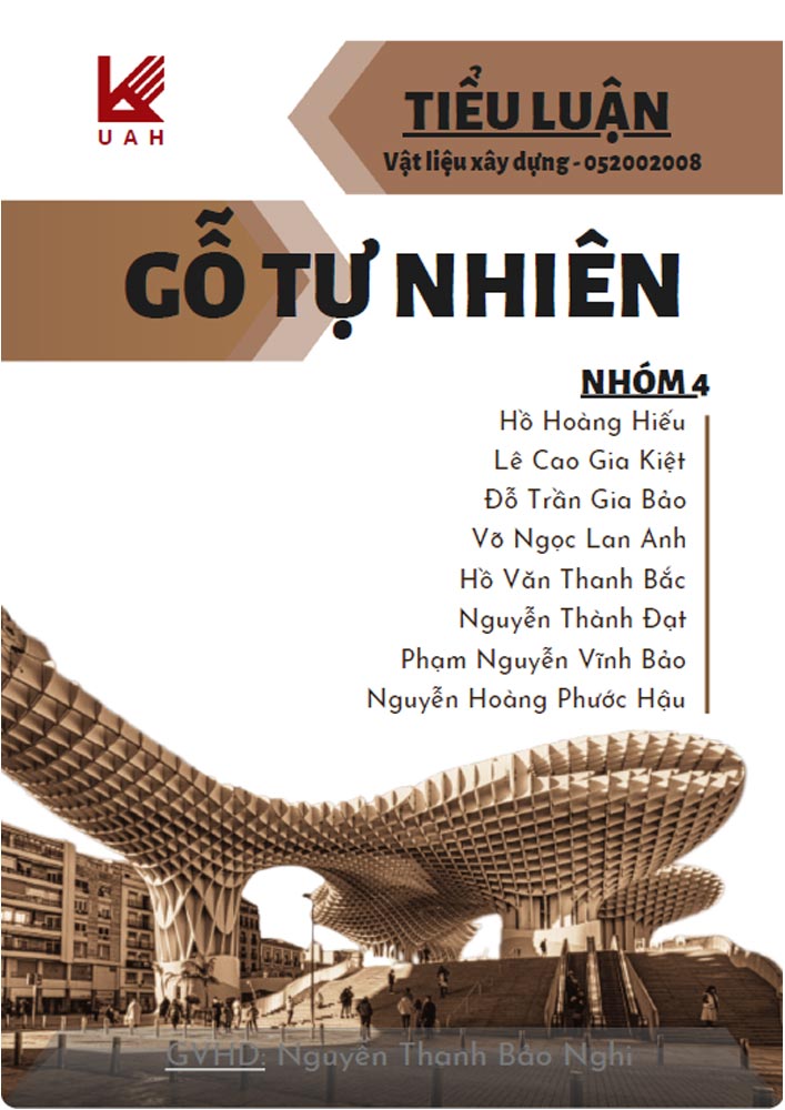 Tiểu luận gỗ tự nhiên (SVKT0126)